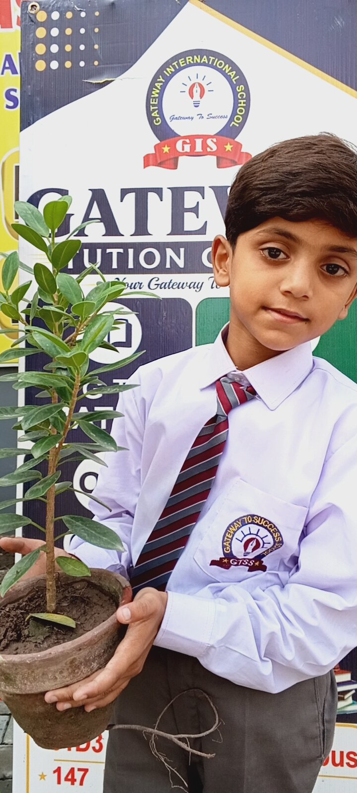 Plant Germination Activity