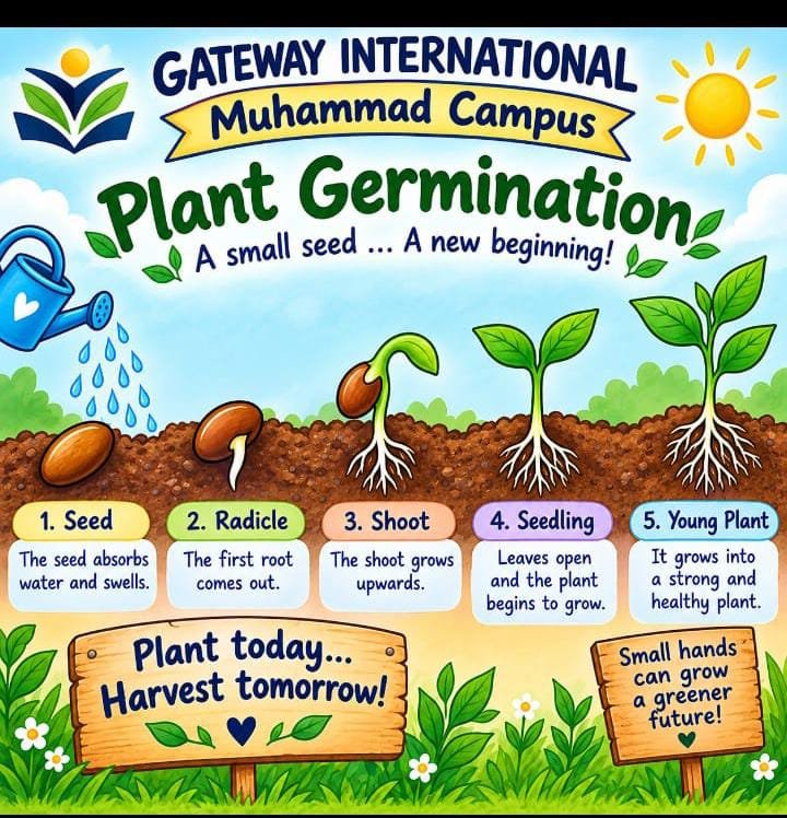 Plant Germination Activity